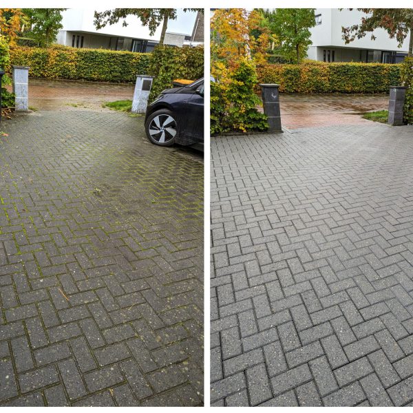 20231029_095019-COLLAGE